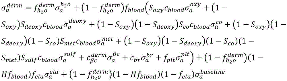 Method for calculating 19 biological parameters related to light absorption of human skin with mathematical model