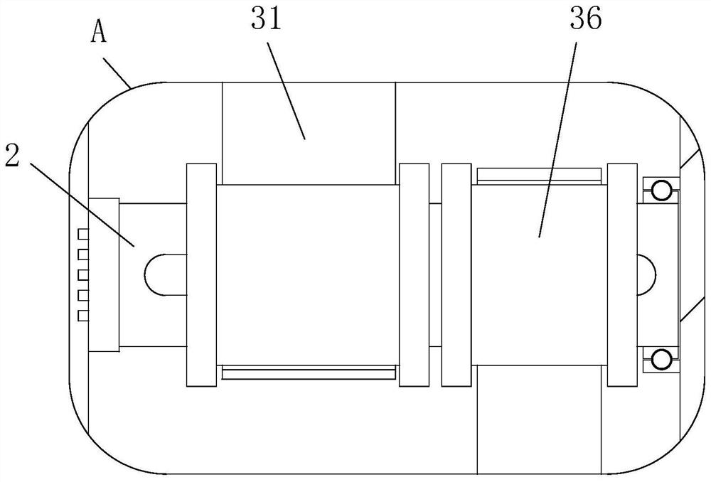 Boiler biomass transportation device