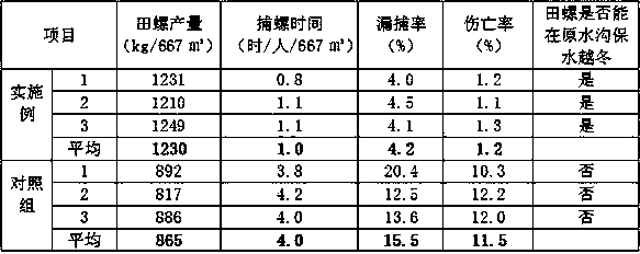 Process method for breeding field snails in rice field