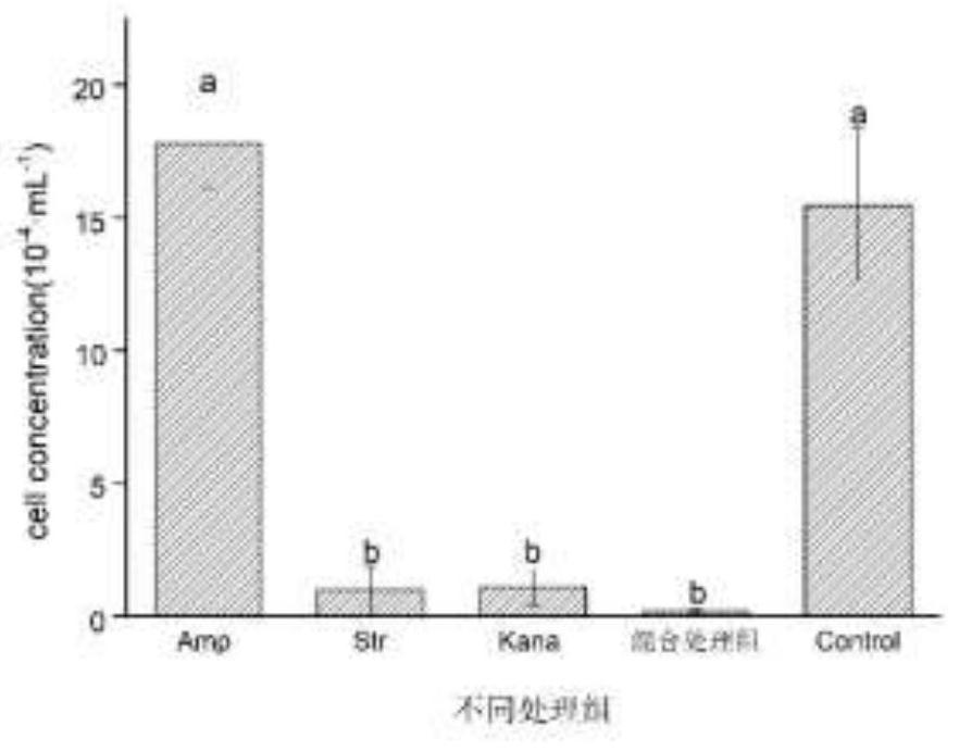 Sterile treatment method of heterosigma akashiwo