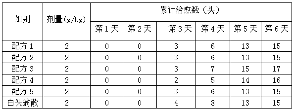 Traditional Chinese medicament composition and preparation and preparation method thereof