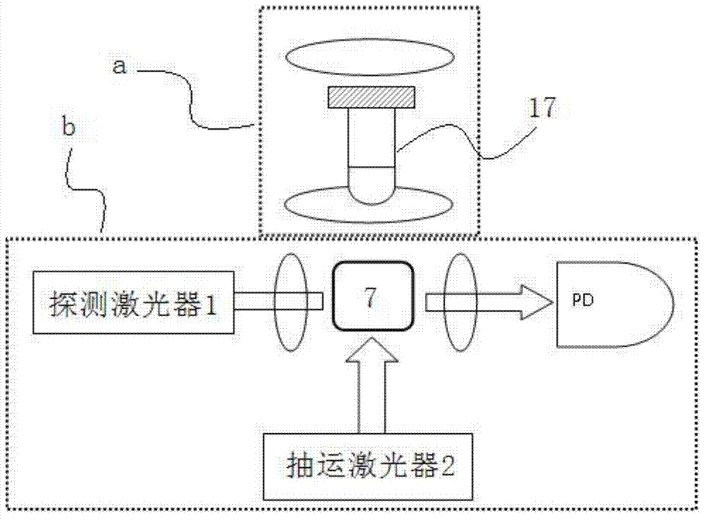 Nuclear magnetic resonance (NMR) device and measurement method based on laser atomic magnetometer