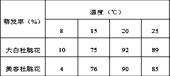 A kind of Rhododendron seedling breeding method