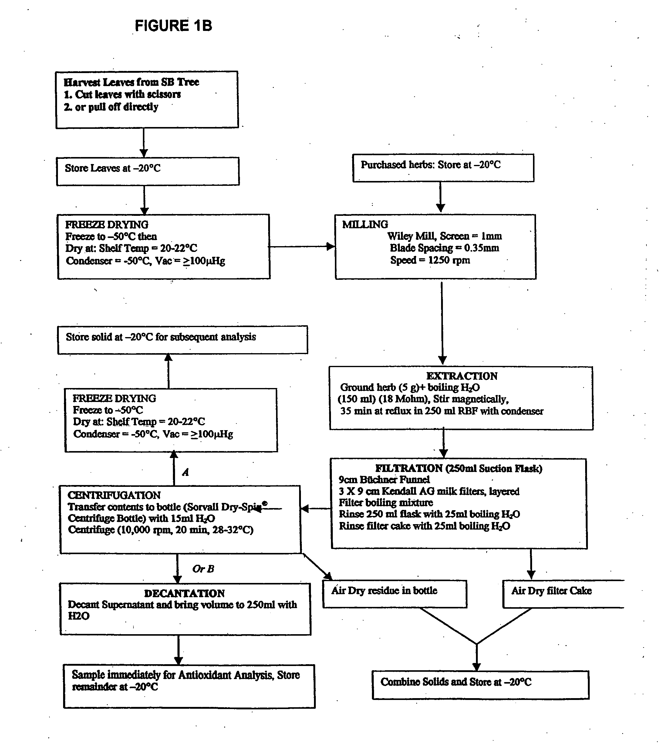 Compositions of botanical extracts for treating malignancy-associated changes