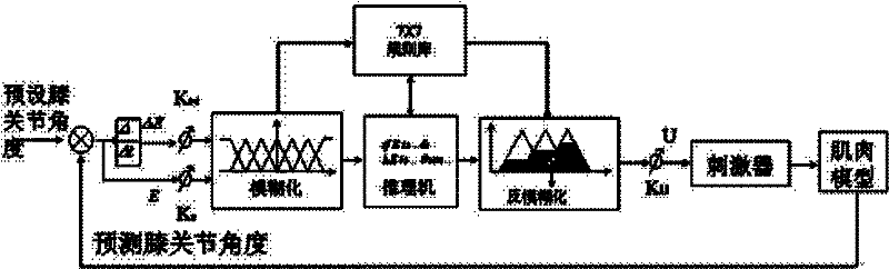 A multi-source information fusion control method for functional electrical stimulation