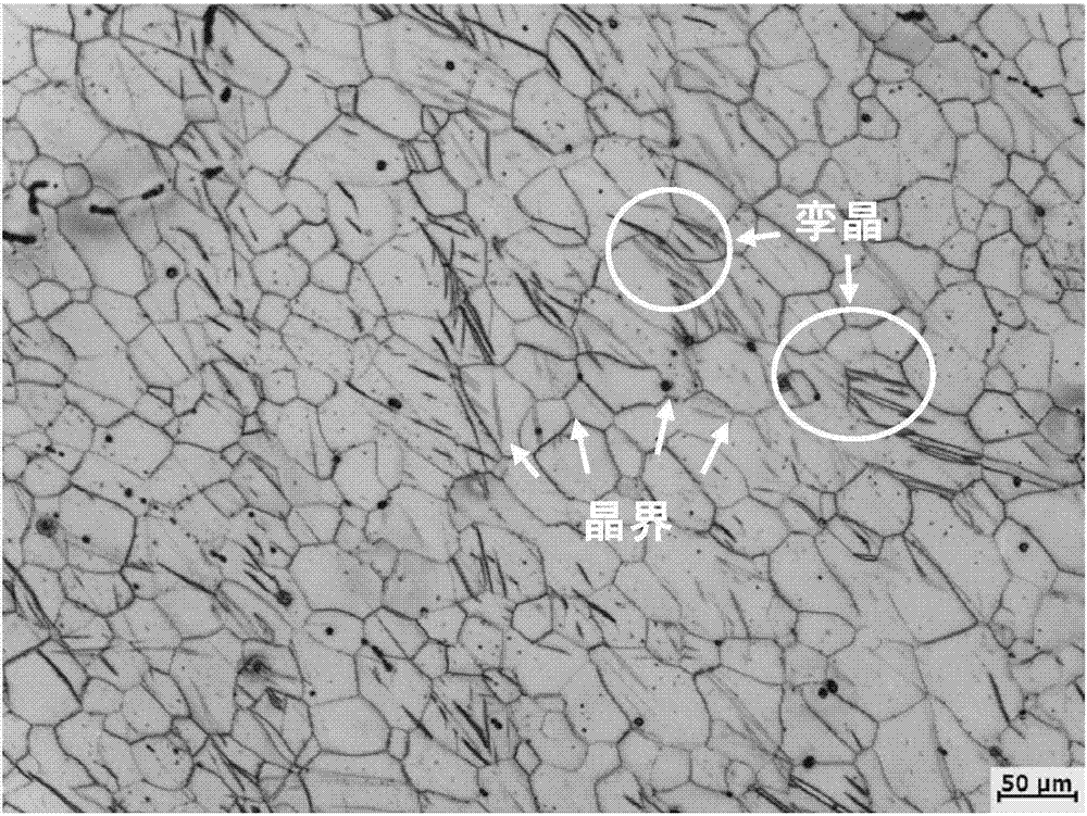 Pure magnesium metallographic tissue observation method