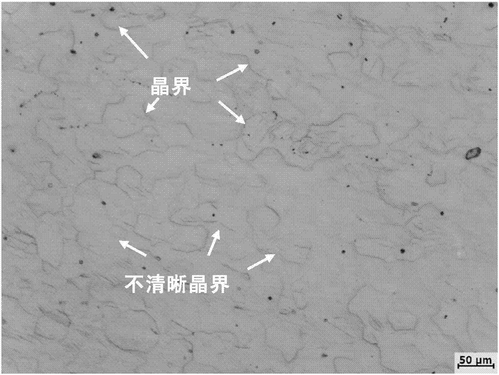 Pure magnesium metallographic tissue observation method