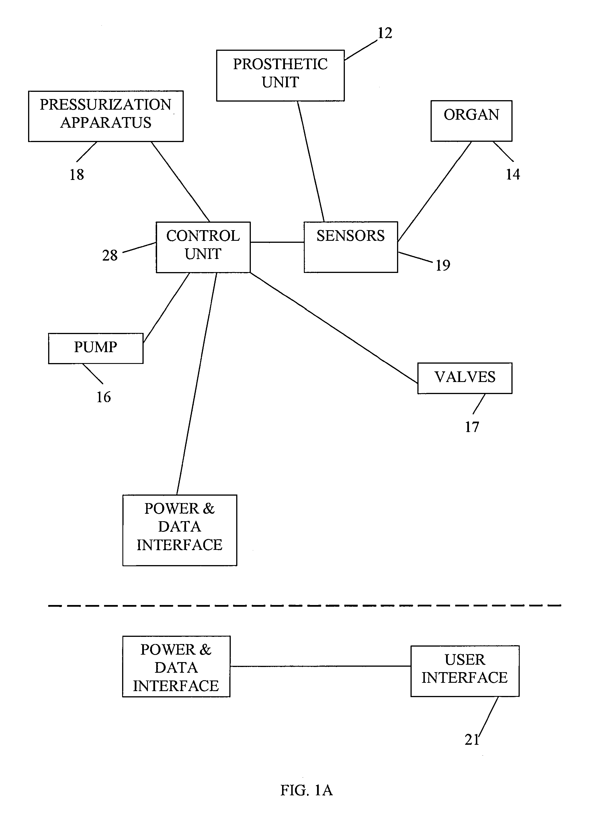 Organ Assist System and Method