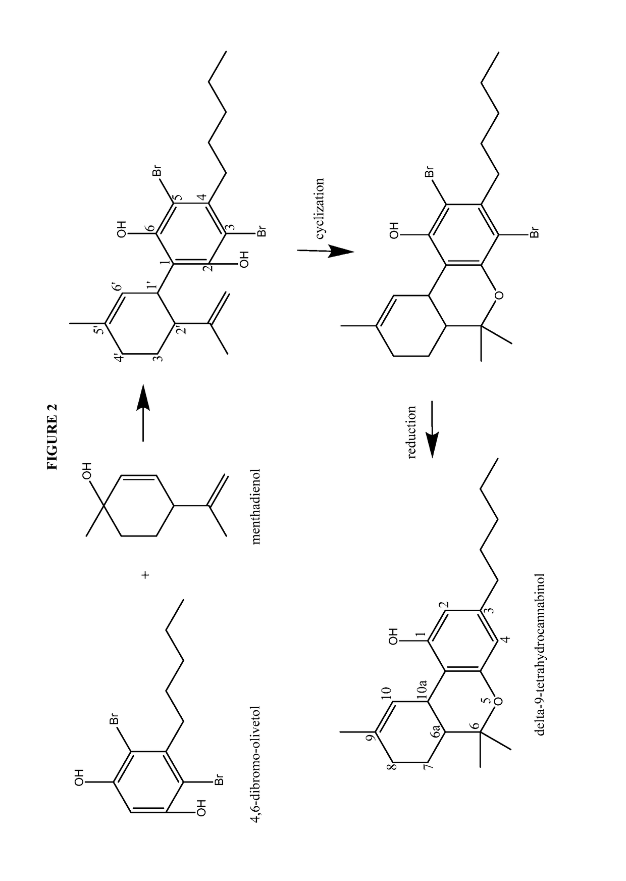 Process for the production of cannabidiol and delta-9-tetrahydrocannabinol