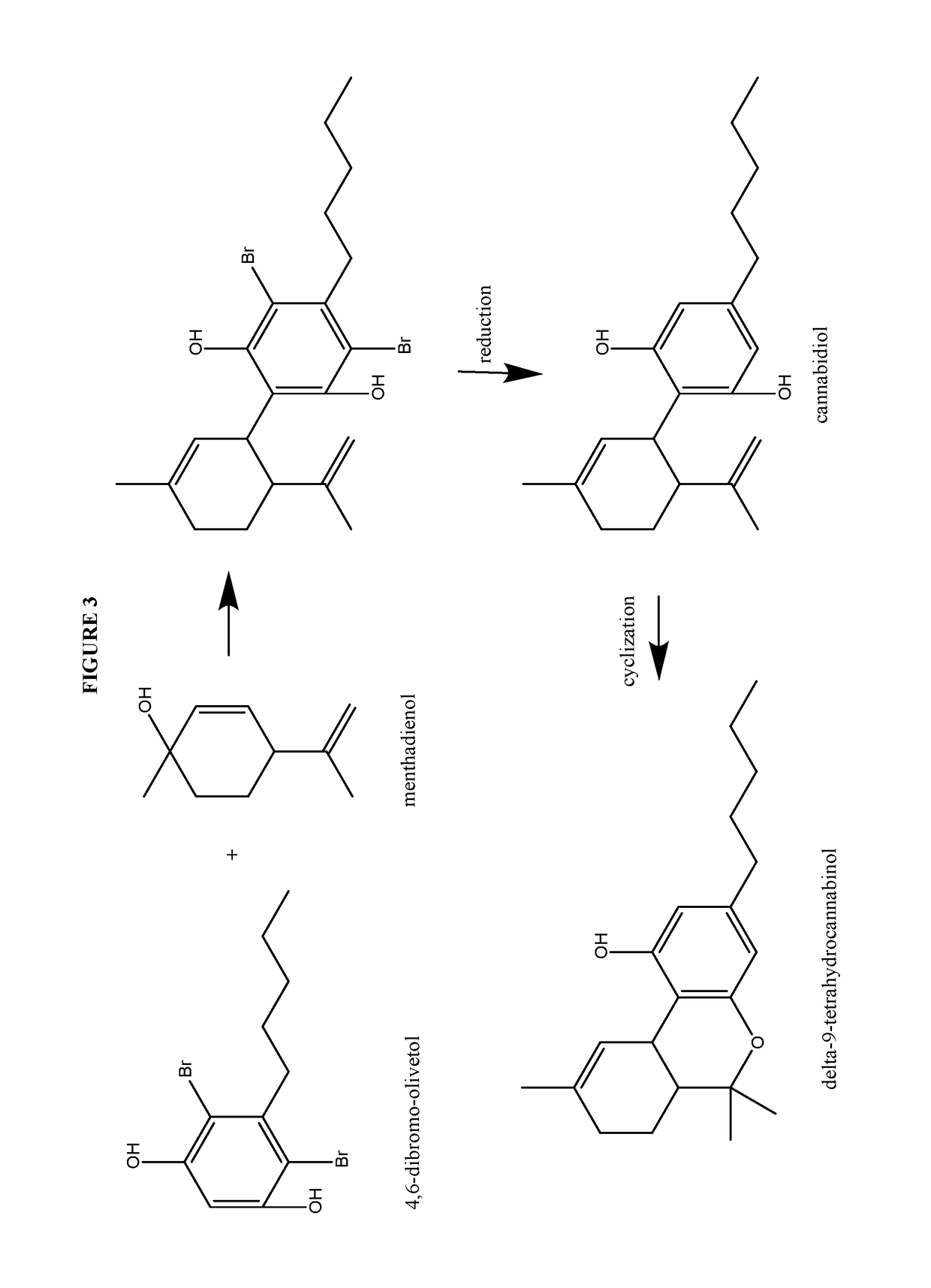 Process for the production of cannabidiol and delta-9-tetrahydrocannabinol