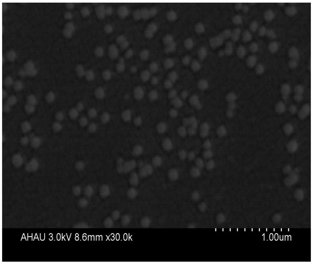 Quercetin nano sustained-release preparation capable of safely and effectively resisting silica-dust-caused pneumoconiosis fibrosis and preparation method of quercetin nano sustained-release preparation