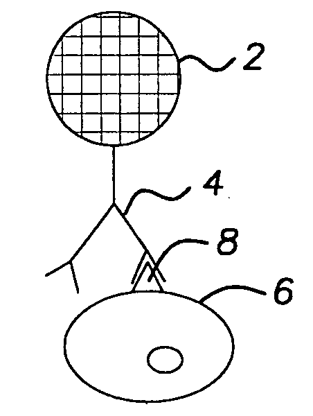 Products and methods for single parameter and multiparameter phenotyping of cells