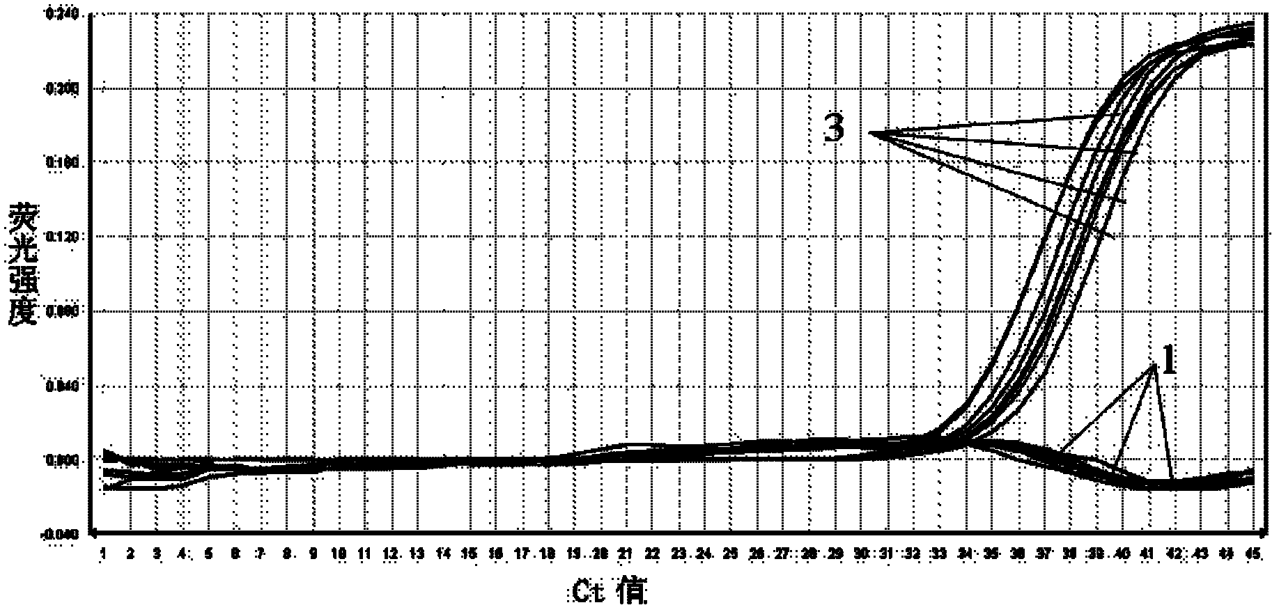 Real-time fluorescent quantitative PCR (polymerase chain reaction) detection method