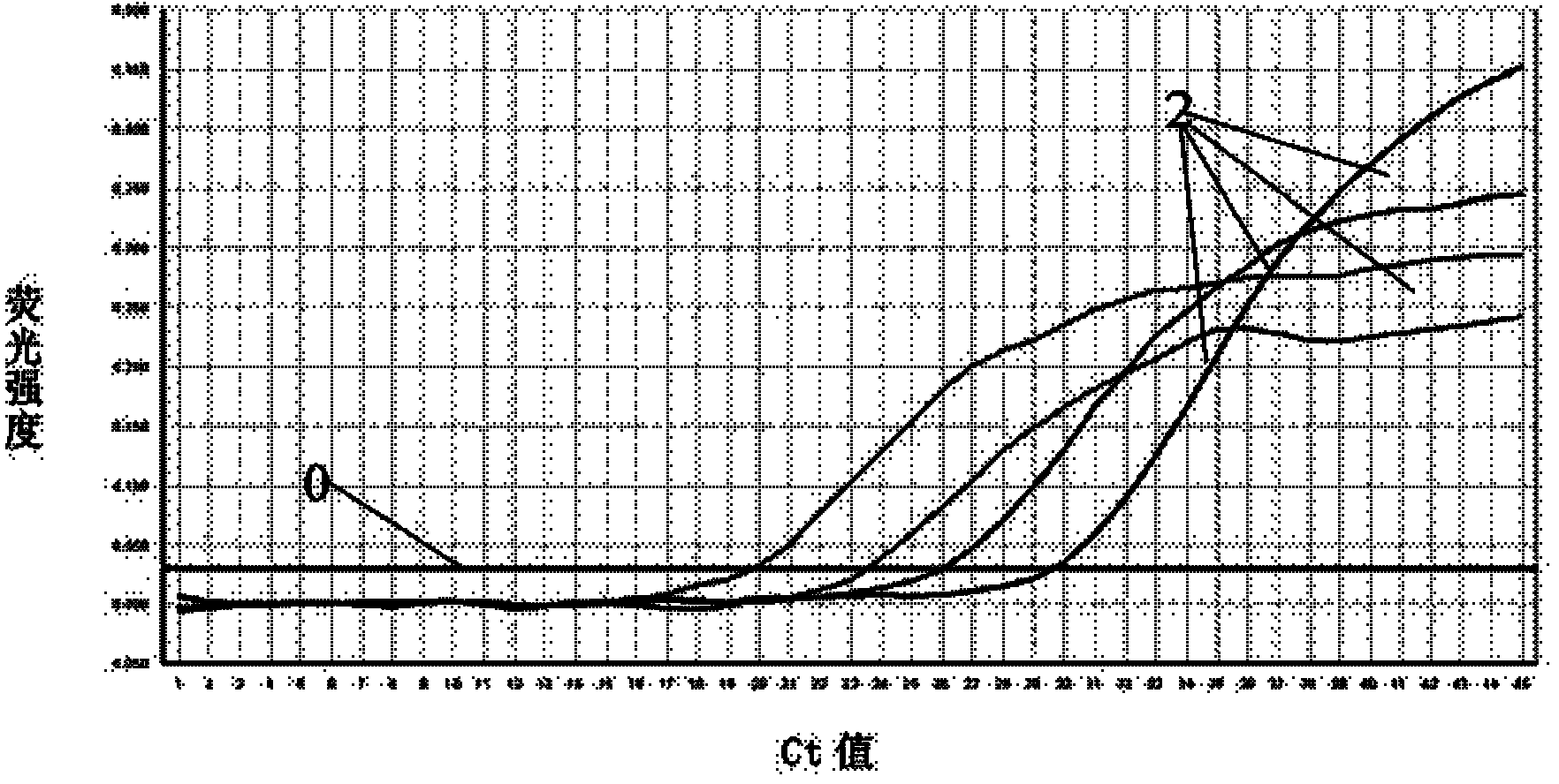 Real-time fluorescent quantitative PCR (polymerase chain reaction) detection method