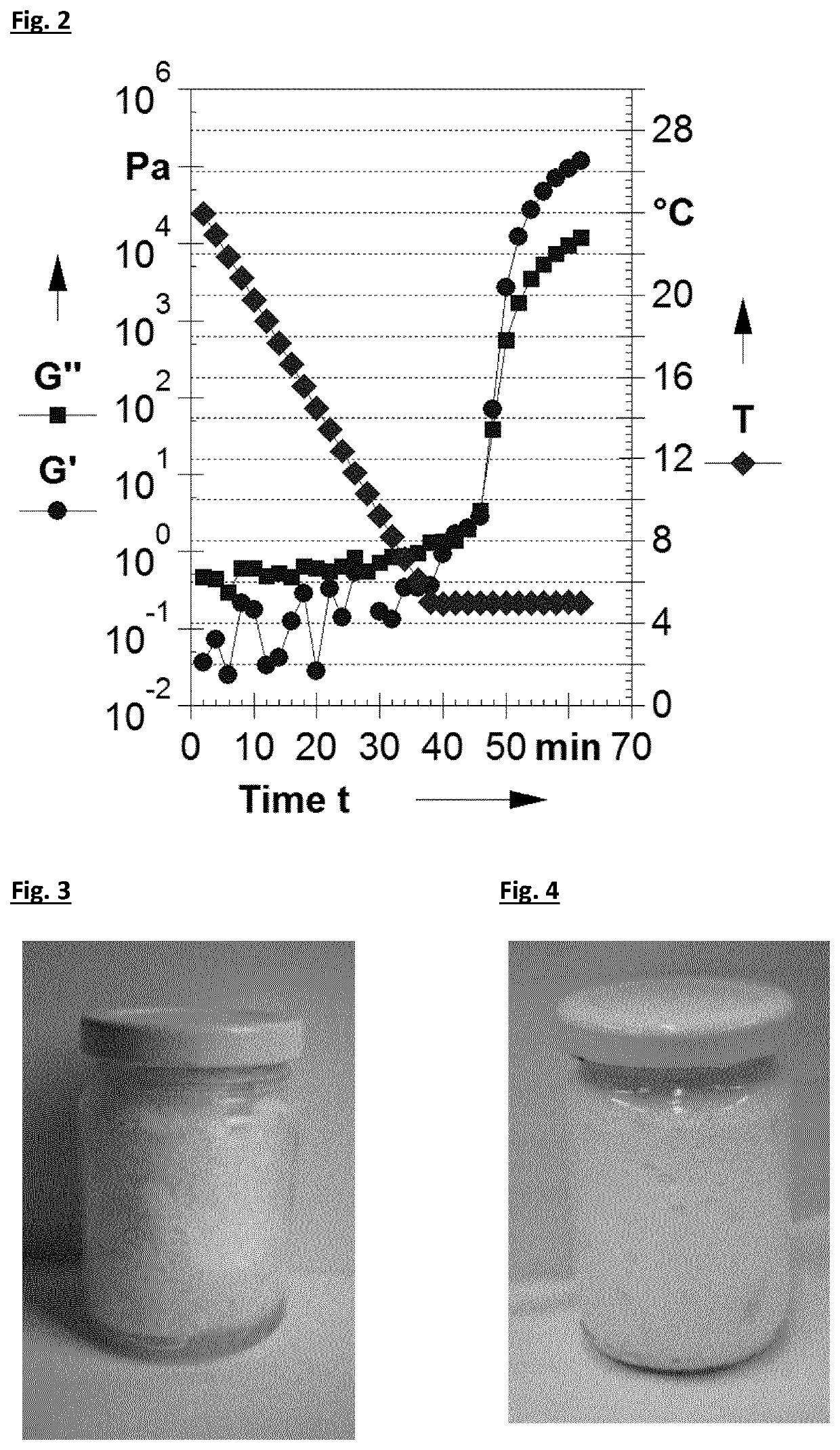 Lipid based foam