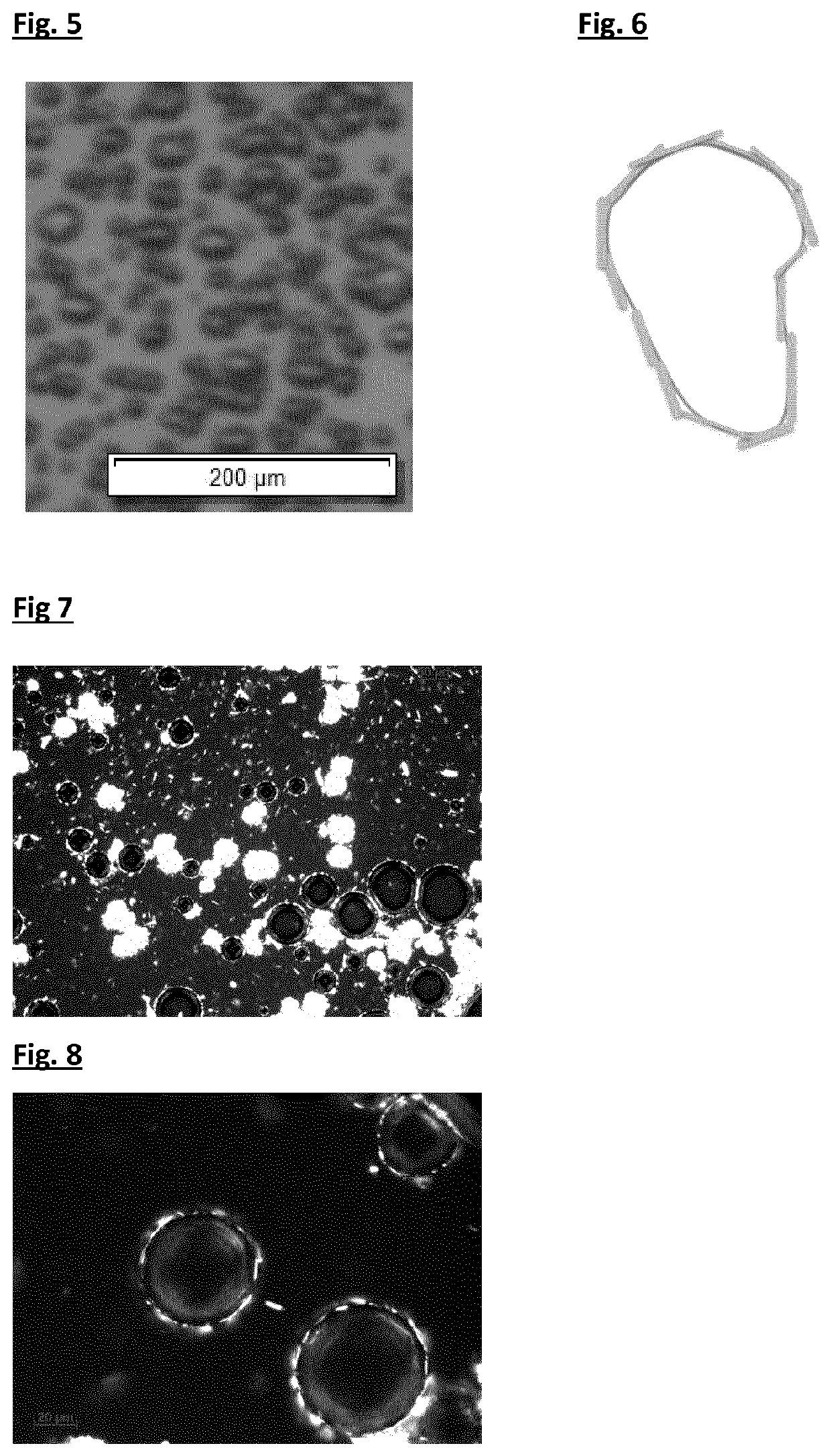 Lipid based foam