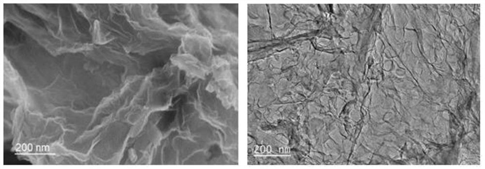 Nitrogen-doped carbon nanosheet, preparation method and application thereof