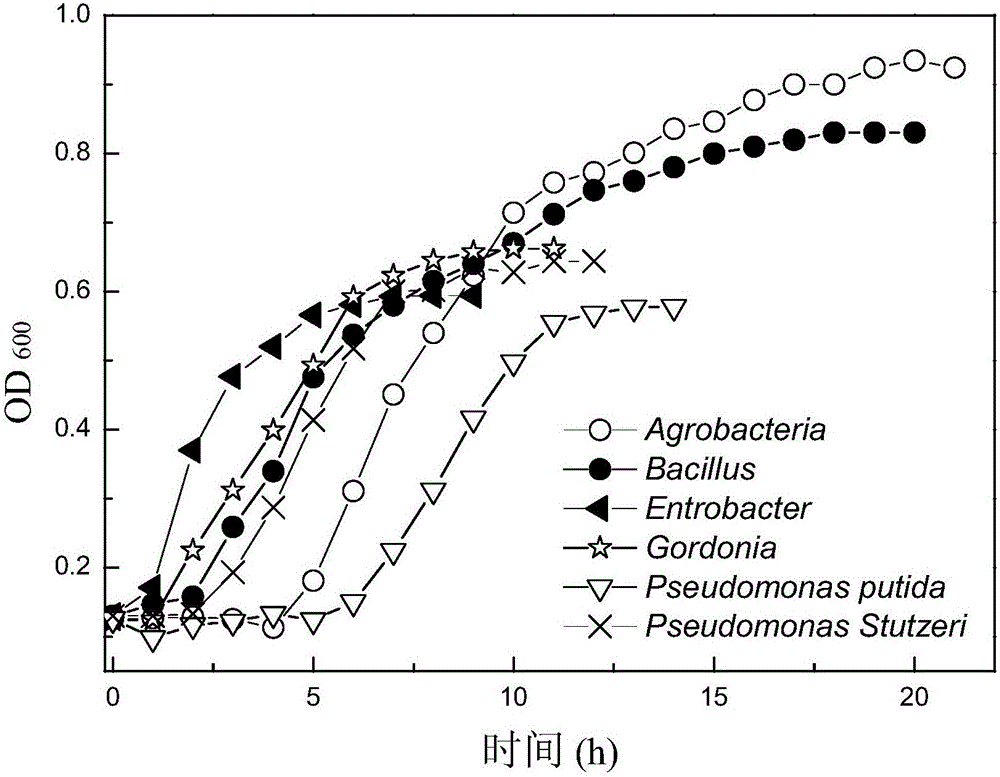 A kind of composite bacterial flora for degrading lignin wastewater and its preparation method