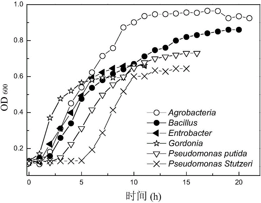 A kind of composite bacterial flora for degrading lignin wastewater and its preparation method