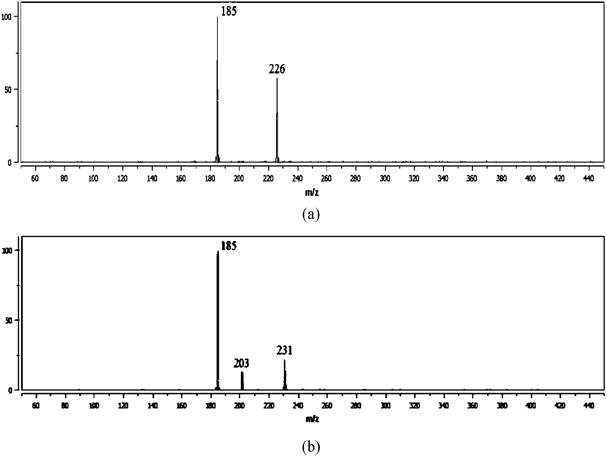 Phosphorus carpentine positive ion and gas-phase preparation and application thereof