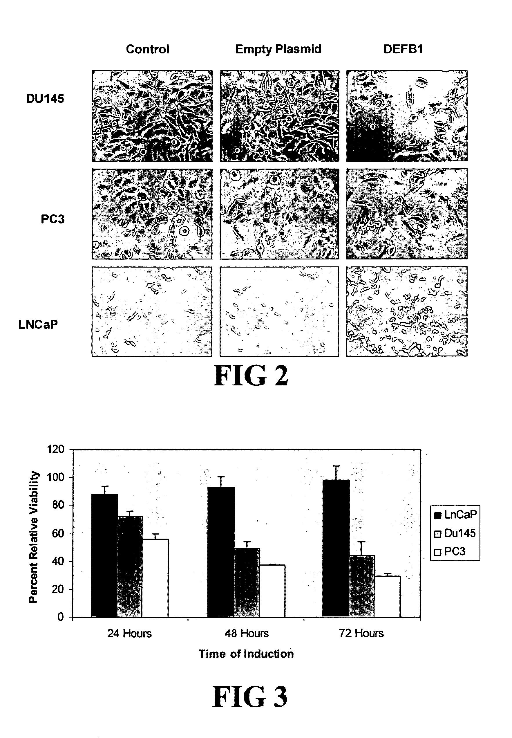 Compositions and methods for diagnosing, treating, and preventing prostate conditions