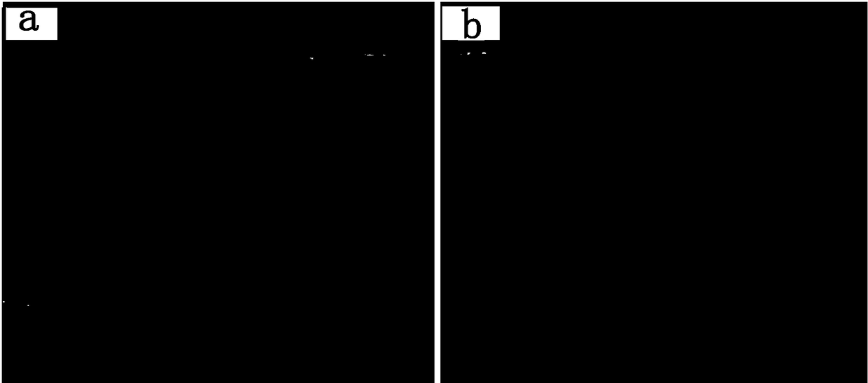 Focus point control laser welding method