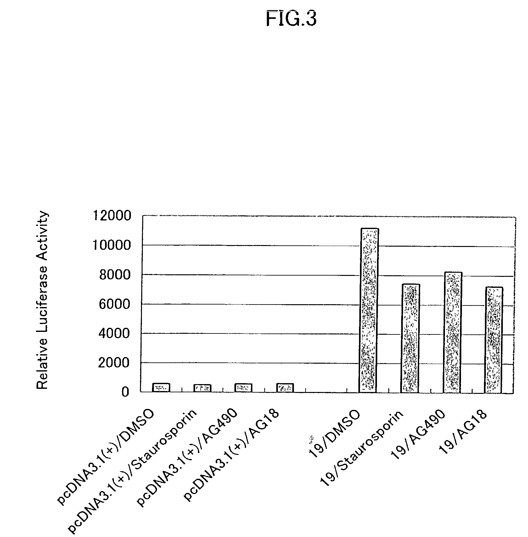 STAT6 activation gene