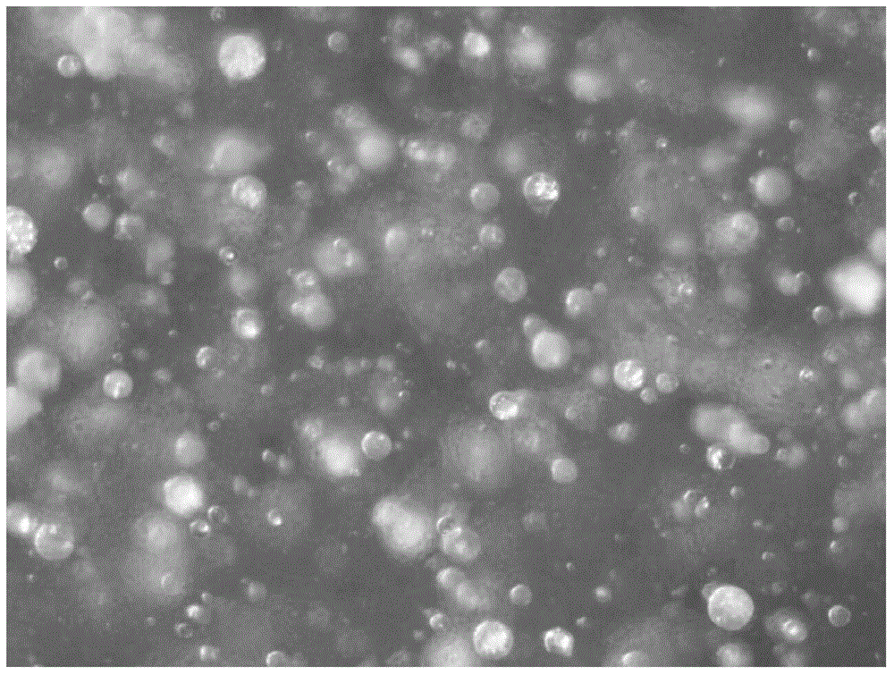 Preparation method of biodegradable nano-microsphere and application