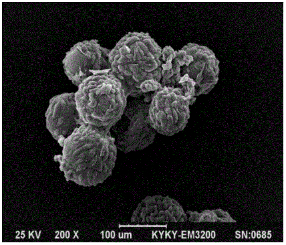 Preparation method of biodegradable nano-microsphere and application