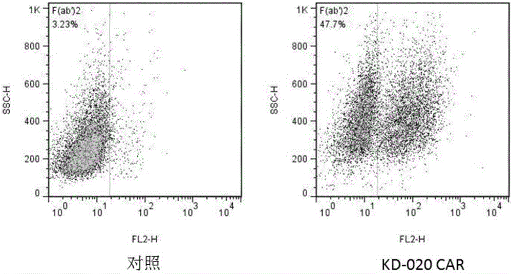 Method for knocking out PD-1 gene by utilizing CRISPR/Cas9 technology to construct MSLN-targeted novel CAR-T cell and application of method