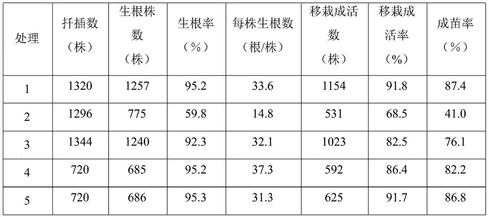 A heating foam particle seedling box and its application