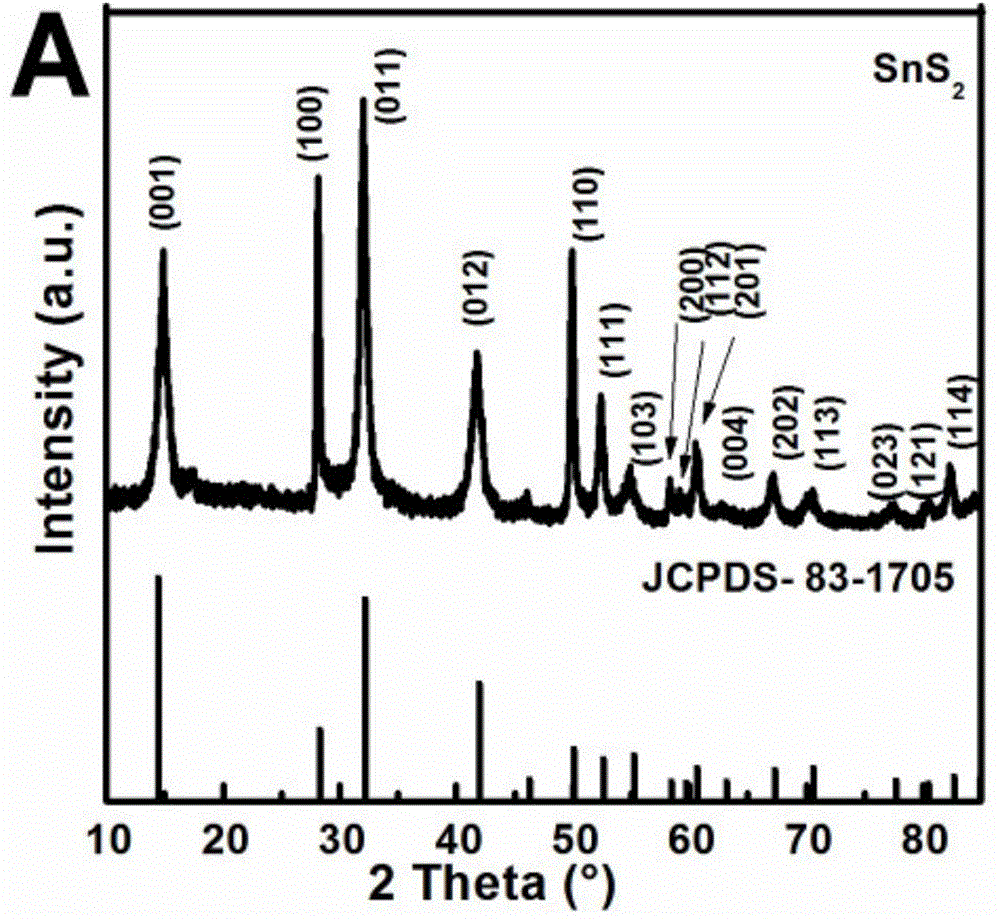 Two-dimensional ultrathin tin sulfide nanosheets, and preparation method and application thereof