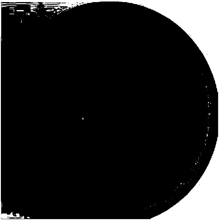 Coating mildew-proof agent and preparation method thereof