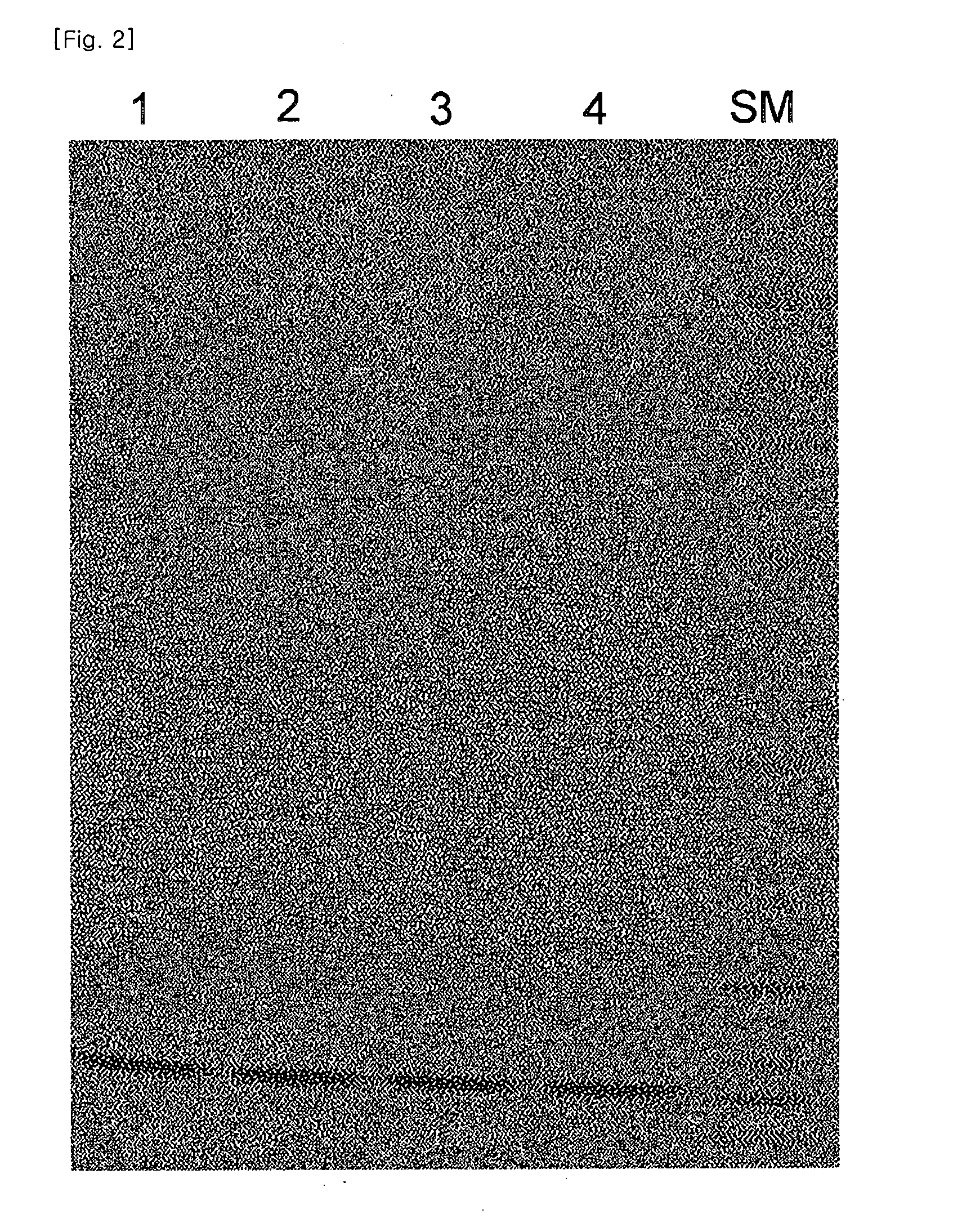 Fusion protein binding specifically to constant region of antibody, method of preparing the fusion protein, and method of isolating antibody using the fusion protein