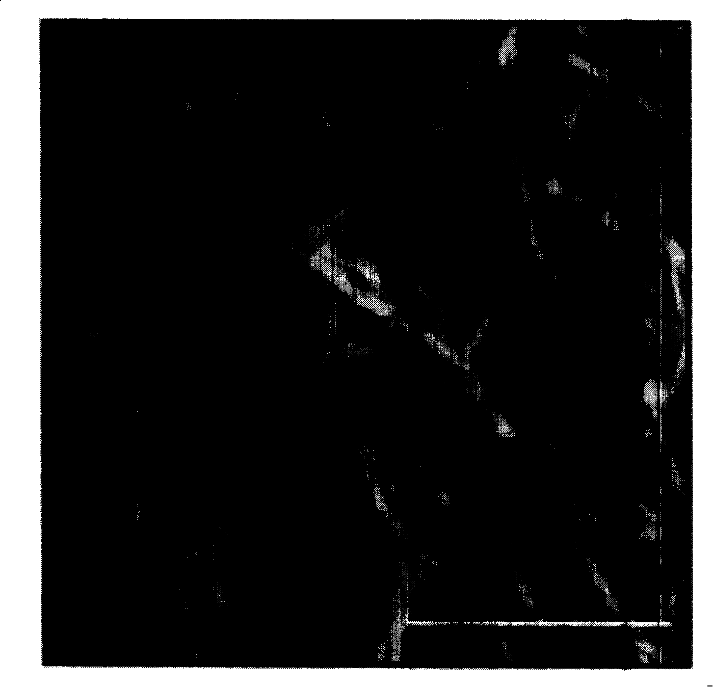 Low molecular weight organic gel and preparation method thereof