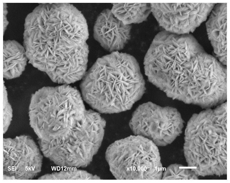 Pre-oxidized ternary precursor for positive electrode material and preparation method of pre-oxidized ternary precursor