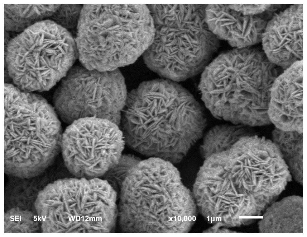 Pre-oxidized ternary precursor for positive electrode material and preparation method of pre-oxidized ternary precursor