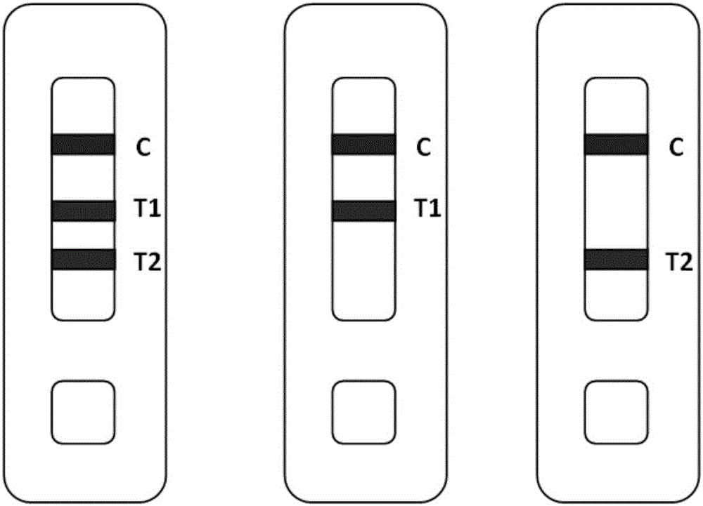 Rapid detection of lean meat powder in pork