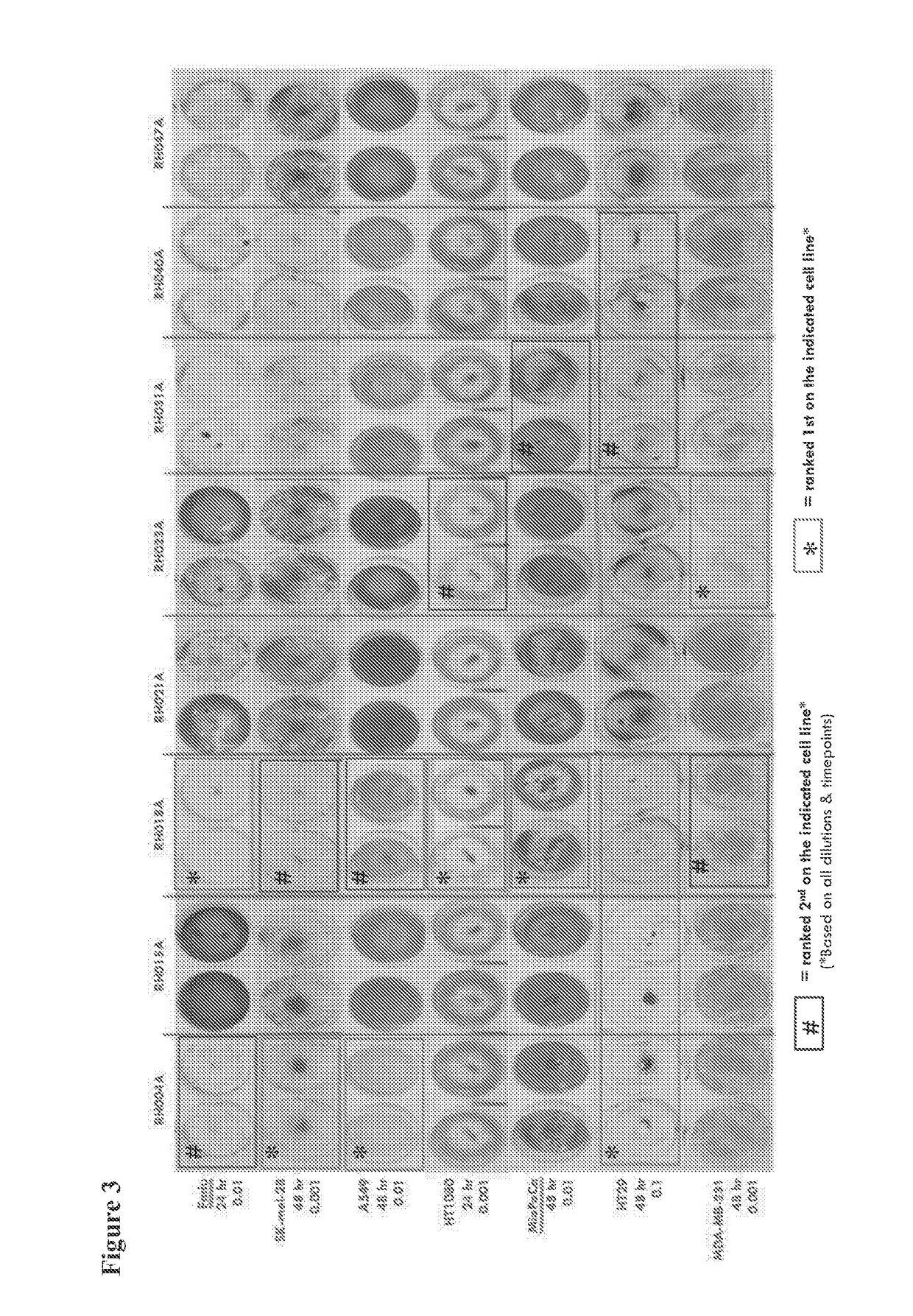 Modified Oncolytic Virus