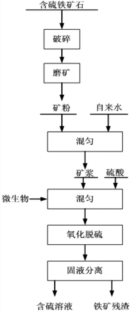 Efficient desulfurizing bacreria and use method thereof in removal of sulfur in iron ore