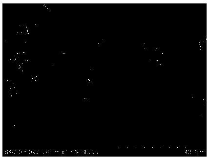 Nanometer floriform vanadium disulfide/hydroxy vanadium oxide difunctional composite electrocatalyst and preparation method thereof