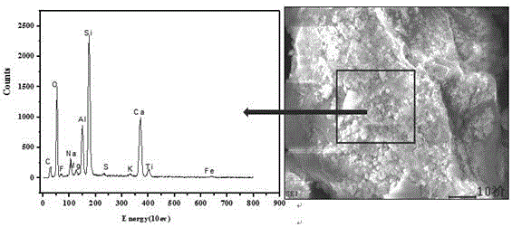 Preparation method of fluorine removal agent for water