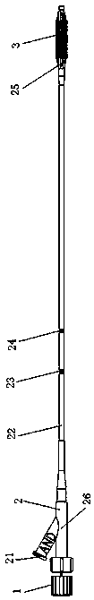 Vertebroplasty balloon catheter system with stent