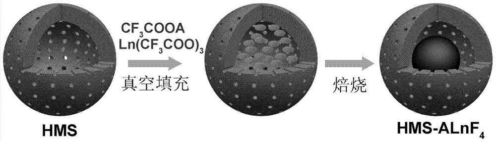 A hollow core-shell structure rare earth up-conversion luminescent nanosphere and its preparation method and application