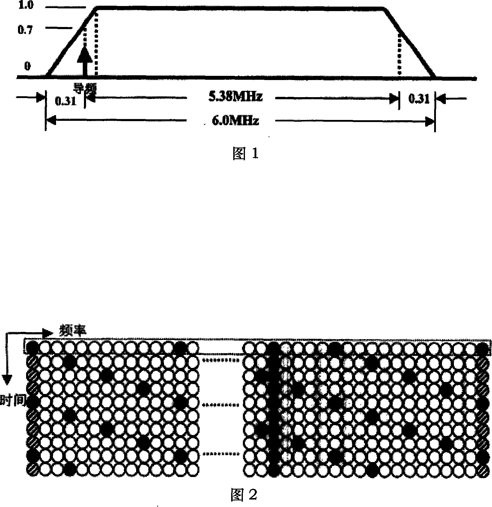 Synchronous generation method and device for carrier in ground digital television system