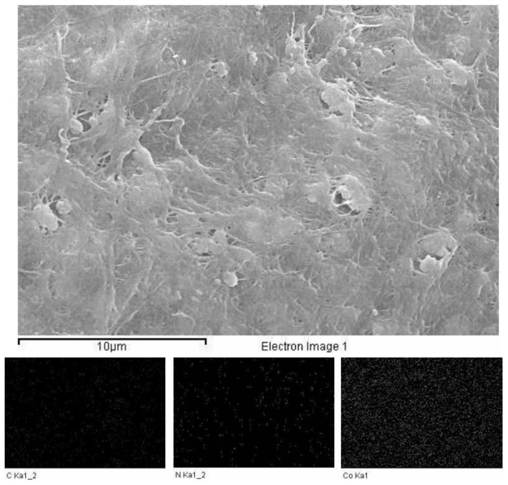 Metal element doped alkali metal ion battery negative electrode material and preparation method thereof