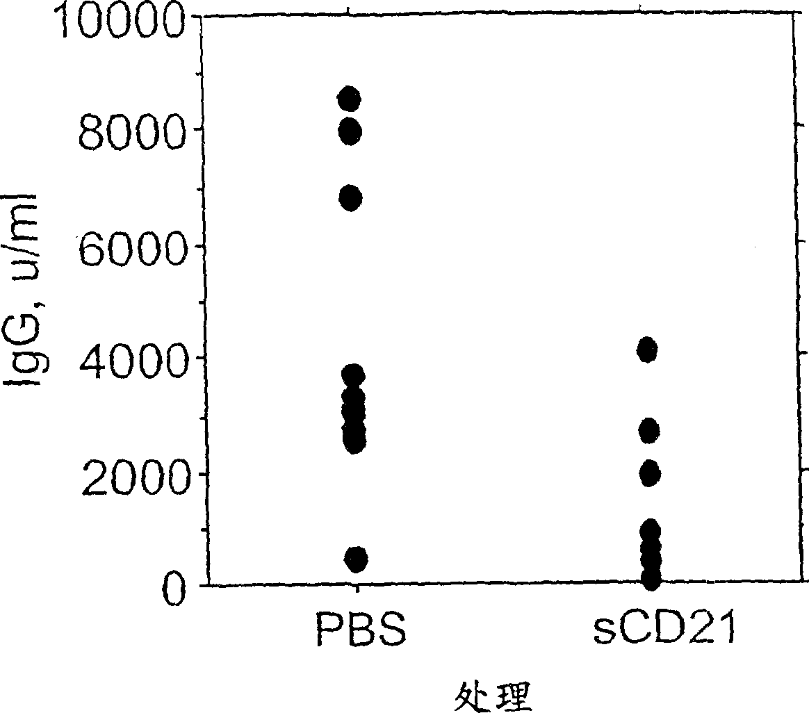 Methods of treating antibody-mediated pathologies using agents which inhibit CD 21