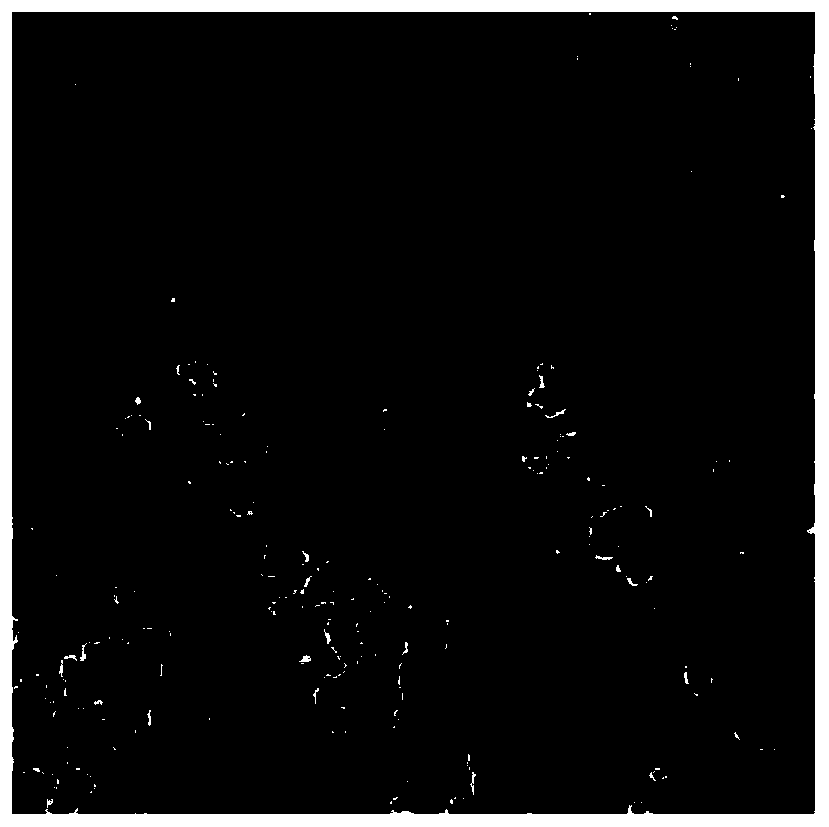 Wavelet domain fractal infrared volume cloud detection method fusing edge information