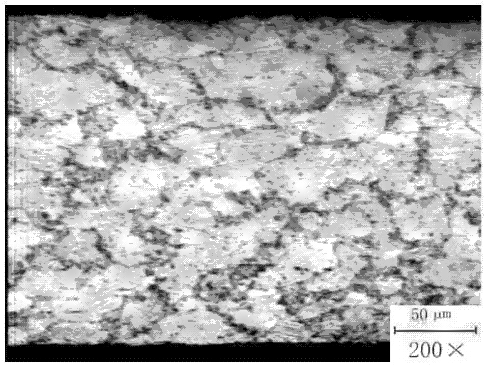 Low-beryllium copper alloy metallographic corrosive agent and display method of metallographic structure of low-beryllium copper alloy