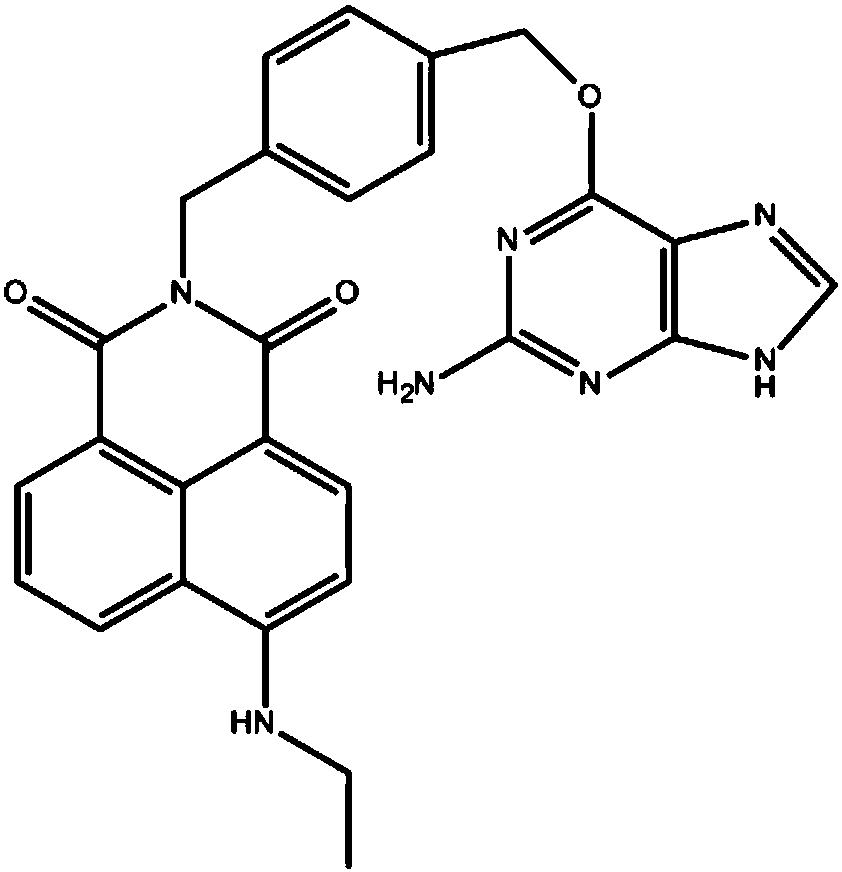 Small-molecular fluorescent probe for SNAP protein labeling as well as synthesis method and application of small-molecular fluorescent probe